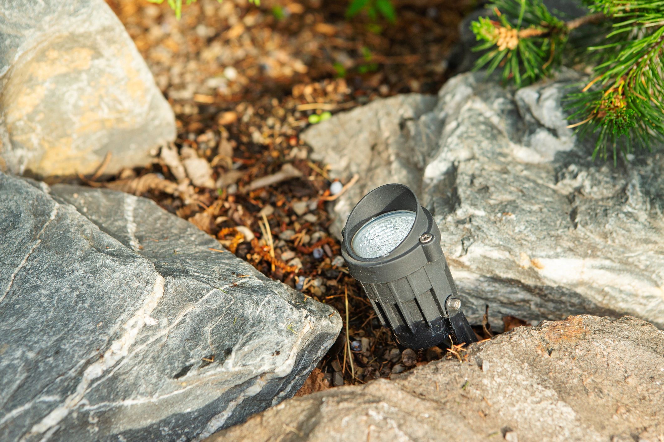 Outdoor landscape spotlight in garden